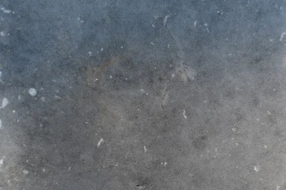 Coins Game Casino Support